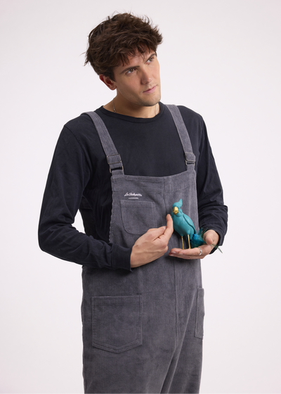 Salopette Grise pour Homme